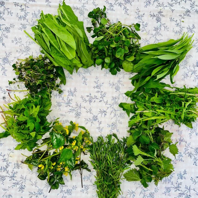 Tag 4 Osterferien Programm für die Kinder der Mitarbeiter der @waldklinik.jesteburg 🫶🏻💚

💚🌿🍃🌱💚
Heute haben wir Wildkräuter gesammelt und aus 9 Kräutern eine wunderbare, köstliche und vor allem sehr gesunde Gründonnerstags Suppe gekocht. Die Natur hat uns Bärlauch, Brennnesseln, Giersch, Gundermann, Löwenzahn, Goldnessel, Brunnenkresse, Labkraut und Sauerampfer geschenkt ❣️
Wildkräuter im März und April sind wahre Frühlingsboten, sie schenken uns Energie, Power und vor allem sehr wertvolle Vital- und Mineralstoffe! 

Wildkräuter sind nicht kultiviert 💚

.
.
.
.
#nettisnaturkinder #stiftung  #naturschätze  #naturkunde  #selbstgemacht #naturkinder #nachhaltig 
#waldpädagogik #naturkind 
 #naturfühlen 
#waldkinder #geschenkausderküche
#bienenliebe #KreativMitDerNatur #Naturinspiration #saisonal #jahreszeiten #sammeln #osterbasteln #gründonnerstag
#kita #wildkräuter #osterzeit #KreativMitDerNatur#kräuterfachwirt