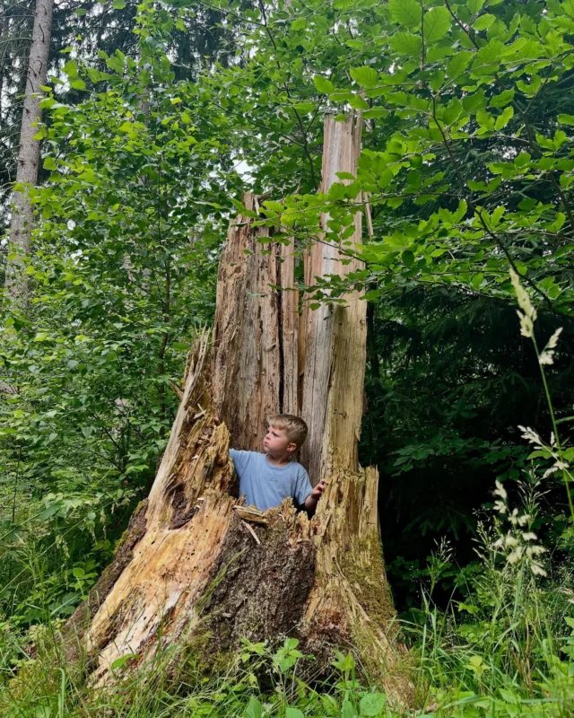 „Mittendrin“ - in der Natur 💚🪵🌲🪾❤️