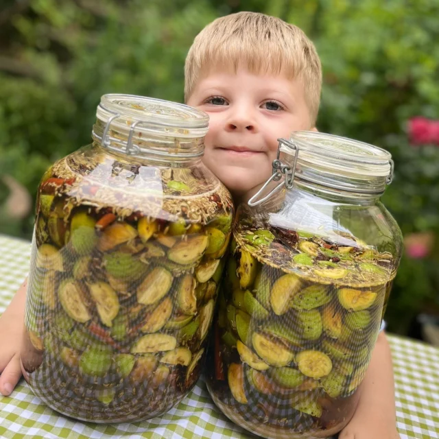 „Grüne Nüsse in vierter Generation“ 💚

Enkel Benyamin hat seine Nonni Netti heute tatkräftig unterstützt… 

3 kg grüne Walnüsse wurden verarbeitet und ein „Nocino“ wurde angesetzt. 
Sehr zu empfehlen! Hier braucht man etwas Geduld, denn frühestens Weihnachten kann probiert werden.

Das Rezept findet ihr bei @doris_mitliebegemacht 
💚Grüne Walnüsse sind seit dem Mittelalter als Delikatesse und Heilmittel bekannt – in verschiedenen Formen: süß eingelegt, als Likör, oder in Speisen verarbeitet. Ihre Beliebtheit basiert sowohl auf dem besonderen Aroma als auch auf ihrer kulinarischen Vielseitigkeit. (Quelle: ChatGPT) 
(unbezahlte Werbung)

.
.
.
.
.
#nettisnaturkinder #stiftung  #naturschätze  #naturkunde  #selbstgemacht #naturkinder #nachhaltig 
#waldpädagogik #naturkind 
 #naturfühlen 
#waldkinder #geschenkausderküche
#marienkäfer #KreativMitDerNatur #Naturinspiration #saisonal #jahreszeiten #sammeln #… #walnuss
#kita #wildkräuter #erdbeeren #KreativMitDerNatur#kräuterfachwirt