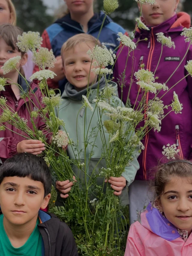 Tag 13 Sommerferien Programm für die Kinder der Mitarbeiter der Waldklinik Jesteburg und Praktikantin Caroly 🫶🏻
🥕9 Mini Rüsselkäfer haben heute die „Wilde Möhre“ kennen gelernt🧡🤍

🥕Die Wilde Möhre ist nicht nur ein Vorfahre der Karotte, sondern auch ein wichtiges Wildkraut, das in vielen Ökosystemen vorkommt und von verschiedenen Insekten als Nahrungsquelle genutzt wird. 

Die wilde Möhre hat einen charakteristischen, schwarzen Punkt in der Mitte der Blüte, die als „Mohrenblüte“ bekannt ist. Dieser Punkt ist eigentlich eine einzelne, sterile Blüte, die von den Insekten als Signal zur Bestäubung genutzt wird. 

Wurzeln erntet man in Monaten mit R! 

Die Wurzel der Wilden Möhre ist essbar, aber oft holzig und weniger schmackhaft als die 🥕. 
(Quelle zum Teil ChatGPT)#wildemöhre #ferienprogramm #wildkräuter #möhre