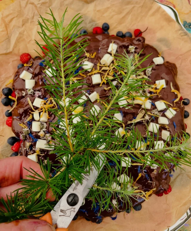 Letzter Tag Sommerferien Programm für die Kinder der Mitarbeiter der Waldklinik Jesteburg und Praktikantin Caroly 🫶🏻
3 Wochen sind wie im Flug vergangen ❣️

Habt ihr schon mal „Waldbeeren Schokolade“ mit Lärchennadeln gemacht? 

Aktuell sind die Wälder bei uns voller jährlicher Herrlichkeiten: Blaubeeren, Himbeeren und Erdbeeren – alles wild und ursprünglich.🍓🫐🍓🫐

Wir wünschen euch ein wunderschönes Wochenende.❣️
#waldbeeren
#schokolade