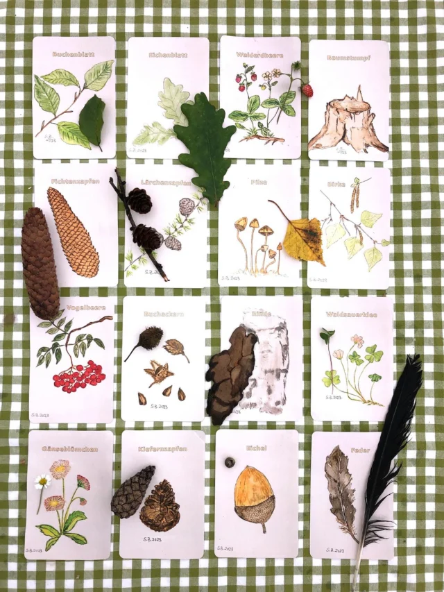„Wir wollen Natur finden“ 🥰

Kennt ihr schon unser Kartenspiel? 
Ein „simples Spiel“ mit großer Wirkung und Lerneffekt ❣️

Erhältlich beim DJV Service Shop 

https://djv-shop.de/lernort-natur/spiele/lernort-natur-draussen-suchspiel-wir-wollen-natur-finden

(unbezahlte Werbung) #waldpädagogik #kindergeburtstagsideen #natur #fichtenzapfen