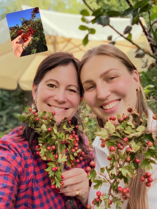❤️Tag des Weißdorn❤️

Praktikantin Caroly hat heute an Nettis Weißdorn Workshop teilgenommen. 

Wir haben aus den jährlichen Herrlichkeiten Köstliches produziert:

❤️Weißdorn Schoko Cookies 
❤️Weißdorn ❤️-Perlen
❤️Weißdorn Deko 🕯️
❤️Weißdornwein „Herzelg‘sund“
❤️Weißdorn Marmelade 

❤️Herzstärkung: Weißdorn wurde bei Herzschwäche, Herzklopfen und Altersherz eingesetzt, um das Herz zu kräftigen.
❤️Kreislaufregulation: Man nahm ihn bei niedrigem oder schwankendem Blutdruck sowie bei Schwindelgefühlen.
❤️Beruhigung: Tee aus Blüten und Blättern galt als mild beruhigend und hilfreich bei Nervosität oder Schlafstörungen.
❤️Durchblutung: Er sollte die Durchblutung des Herzmuskels verbessern und die Gefäße elastisch halten.
#weißdorn 
Quellen: Chat GPT 

Rezepte: 

https://goccus.com/rezepte/kleingebaeck/plaetzchen/weissdorn-schokoladen-cookies/

https://www.gutekueche.at/weissdorn-marmelade-rezept-54879

Doris Kern „Mit Liebe gemacht“ 

(unbezahlte Werbung)