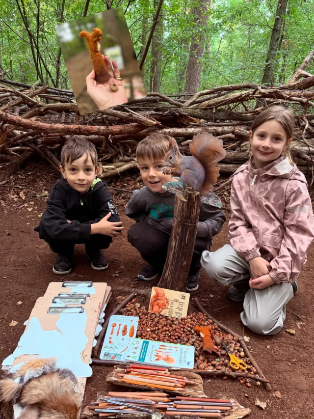 „Vom Kindergarten in die Schule“ 

Erster Waldtag mit 17 „neuen“ aufgeregten kleinen Erstklässlern im Wald. 🌳🐿️🌲🐿️🌰
Wir haben mit Wildtierkunde begonnen. 
Welche Tiere leben in deutschen Wäldern?
Warum jagen Jäger?

Das Eichhörnchen haben wir heute als besonders guten Kletterer kennen gelernt.
Sie können:
Mit ihren scharfen Krallen fast senkrechte Baumstämme erklimmen.

Dank ihrer starken Hinterbeine große Sprünge zwischen Ästen schaffen.

Ihren buschigen Schwanz als Balancierhilfe einsetzen, wenn sie über dünne Zweige laufen oder von Baum zu Baum springen. (ChatGPT) 

Die Kinder haben das Eichhörnchen gemalt. Besonders imposant fanden sie das echte Fell für den buschigen Schwanz. (Fellreste von Fuchs, Marder, Waschbär und Nutria) (unbezahlte Werbung) 
#eichhörnchen🐿 
#eichhörnchenwahnsinn 
#haselnuss 
#winterruhe