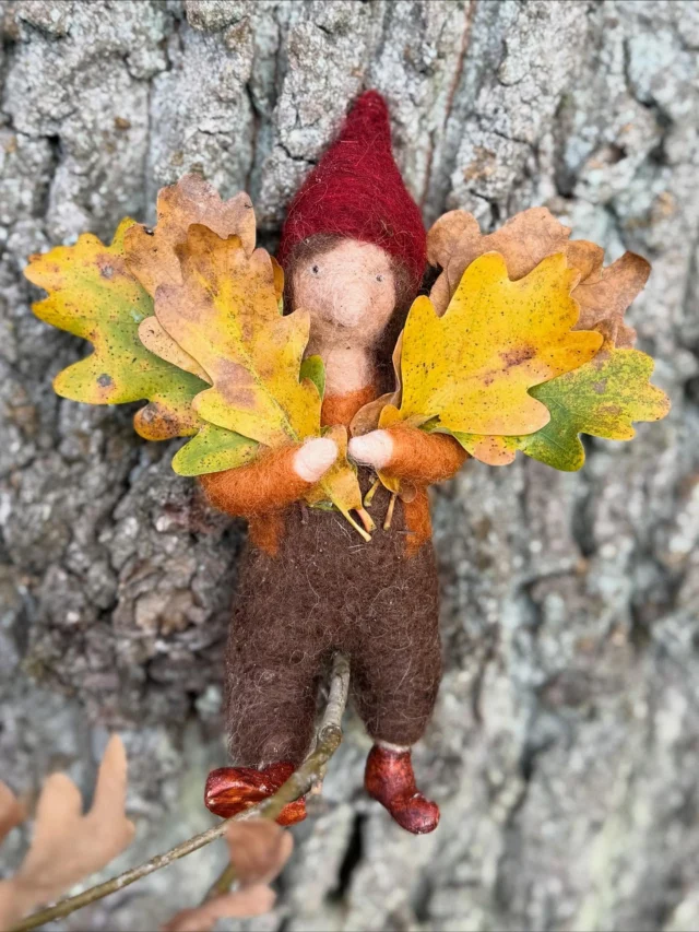 🧡💛🤎 Wusstet ihr, dass die herbstliche Laubfärbung der Stieleiche die neunte von zehn phänologischen Jahreszeiten anzeigt - den so genannten Spätherbst? 🧡💛🤎

🤎💛🧡 Im Alltagsleben teilen wir das Jahr in vier Jahreszeiten ein. Es gib eine feinere Einteilung in zehn biologisch begründete „phänologische Jahreszeiten“, die Jahreseinteilung nach Erscheinungen in der Pflanzenwelt.🤎🧡💛
#phänologischerkalender 
#spätherbst 
#stieleiche 
#laubfärbung