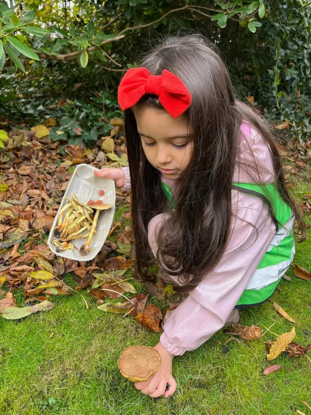 „Pilze in Hamburg Altona“. Jahreszeitliche Naturbildung für die kommende Generation❣️

Praktikantin @caroly.k hat mit den Vorschulkindern der @froebel.deutschland Kita Hamburg-Altona Pilze gesammelt um diese abzumalen. 

Außerdem wurden kleine Pilze aus Beton kunterbunt bemalt. 

Wusstet ihr, das es KEINE Vergiftung durch Berührung gibt? 
Bravo, Caroly 👏🏼👏🏼👏🏼🍄‍🟫🍄
#pilzzeit 
#bastelnmitkindern 
#waldpädagogik 
#kreativmitpilzen 
#pilzcoach