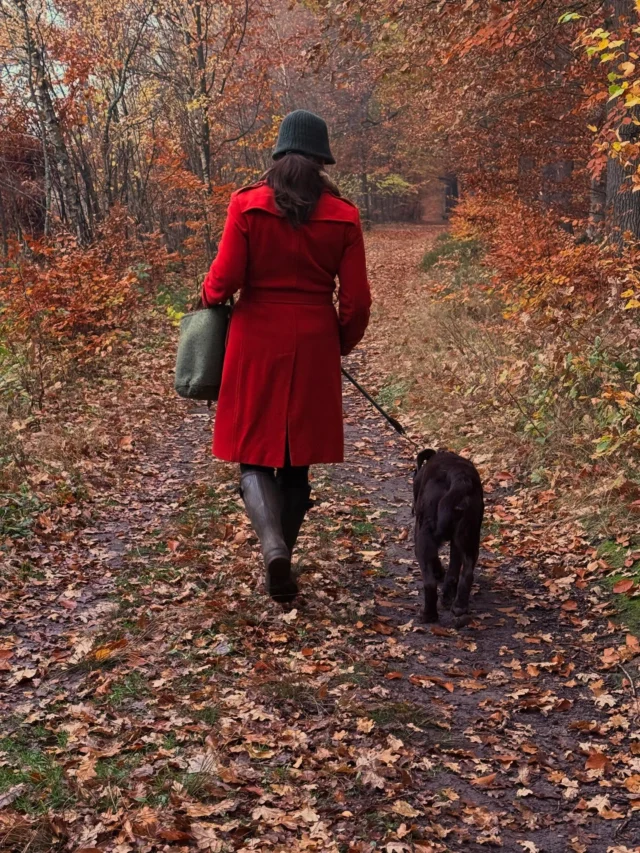 Ein #sonntagsspaziergang mit #novembermomenten in der #natur ❤️

#november #laubfärbung #nebelstimmung #pilze #naturephotography #labrador #dankbarkeitfühlen #waldgenießen #lärche #fliegenpilz #flechte #lilalacktrichterling #schmetterlingstramete #farn #brombeere