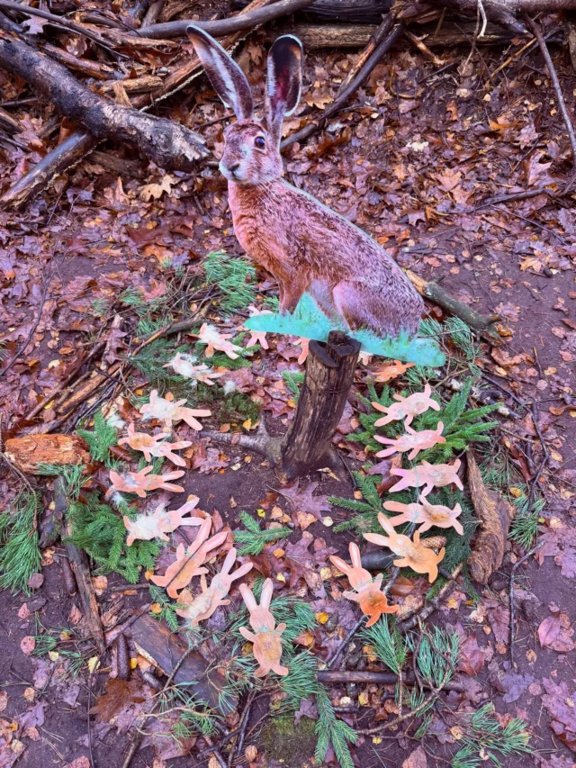 Themenwunsch heute: „Der #hase“ 

19 Schüler einer 2 Klasse haben heute gemeinsam mit den gebastelten Häschen eine „Wald-Torte“ gebacken. 
#kiefernnadeln dienten uns als #schnurrhaare und etwas  #fuchsbalg als Hasenfell. 
Die Waldtorte bestand aus 7 Tortenstücken: #Kiefernnadeln #eiche Blatt, #baumrinde , #totholz , #kiefernzapfen , #roteiche Blatt und #moos . 

(unbezahlte Werbung)