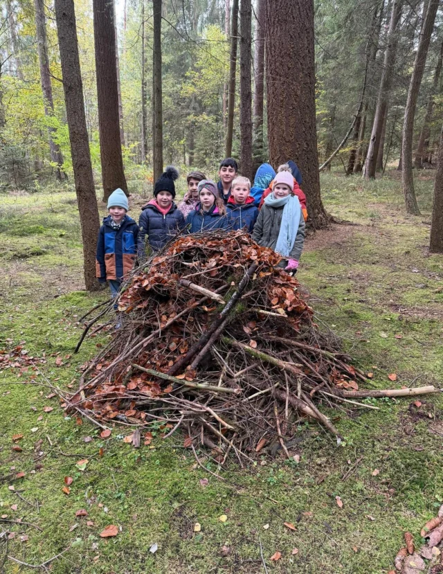 Unser kleiner Schutzraum für die Tiere im Winter🪵🪳🕷️🦗🦟🐜🪰🪲🐛🦔

Unser Laubhaufen soll Tieren wie Igeln und Insekten Schutz vor Kälte, Nässe und Raubtieren geben. Man schichtet Laub mit kleinen Ästen und Zweigen auf. Der Haufen sollte bis ins Frühjahr ungestört bleiben, um Tieren ein geschütztes Winterquartier zu bieten. 

Schichtet Blätter und Stöcke locker auf, damit Luft zirkulieren kann, aber so dicht, dass der Haufen Schutz vor Wind und Regen bietet.
#laubhaufen #totholz #schutzimwinter #insekten #igel #draussensein #kinderindernatur
