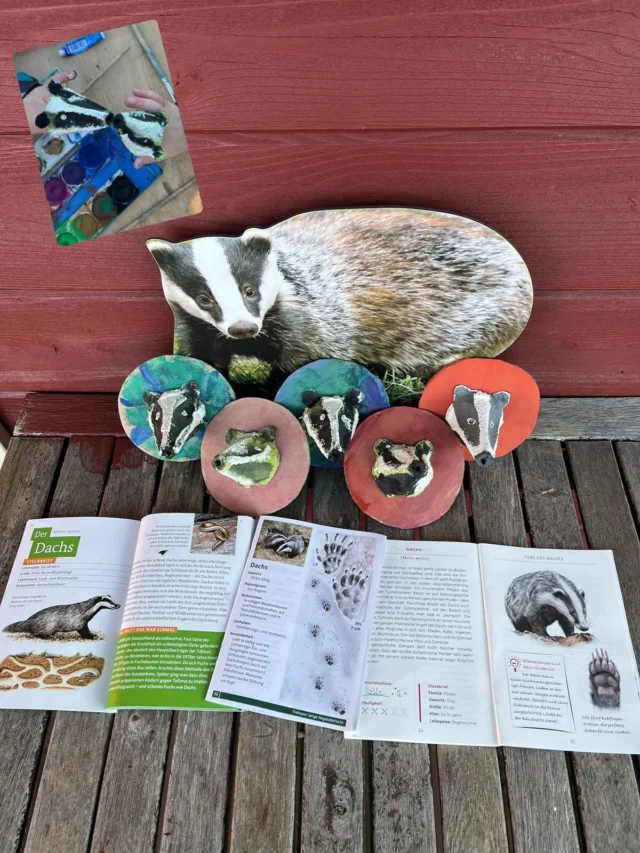 „Knutschende Dachse“

Praktikantin @caroly.k hat den Vorschulkindern der @froebel.deutschland Kita Hamburg Wandsbek heute den #dachs , „Herrn Grimbart“ vorgestellt❣️

Dachse leben in einem Bau, einem unterirdischen Tunnelsystem, das der Dachs während seines Lebens ständig erweitert. In seinem Bau gibt es einen „Wohnkessel“, den er mit Laub und Moos auspolstert, und oft mit mehreren Generationen oder sogar anderen Tieren wie Füchsen teilt (#burgfrieden ). Der Bau dient als Kinderstube, Schutz und Hauptlebensraum. #dachsbau #dachsliebe #grimbart 

(unbezahlte Werbung)