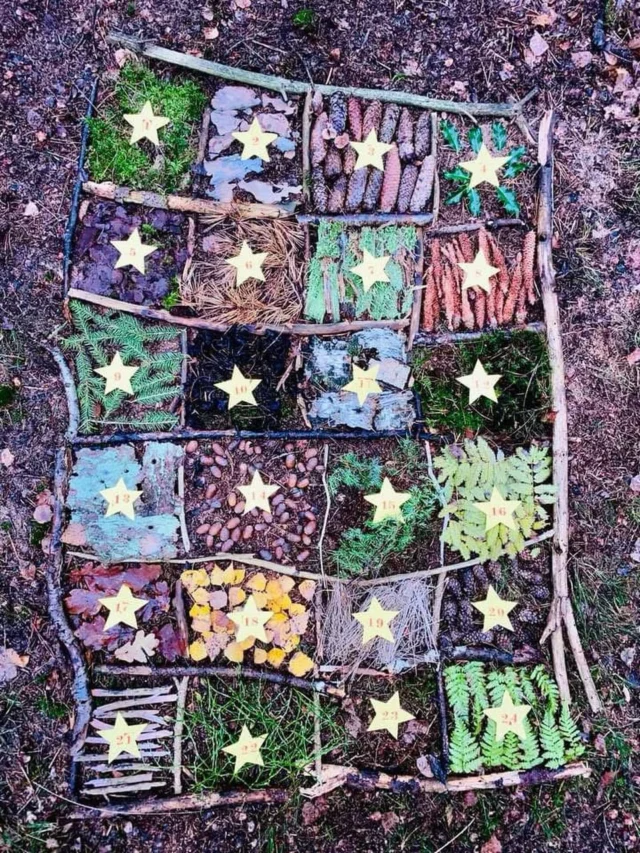 Jedes Jahr freuen wir uns auf unseren #adventskalender im #wald aus 24 #naturmaterialien 🎄⭐️✨
#adventszeit #adventszeitistdieschönstezeit #adventimwald #waldpädagogik